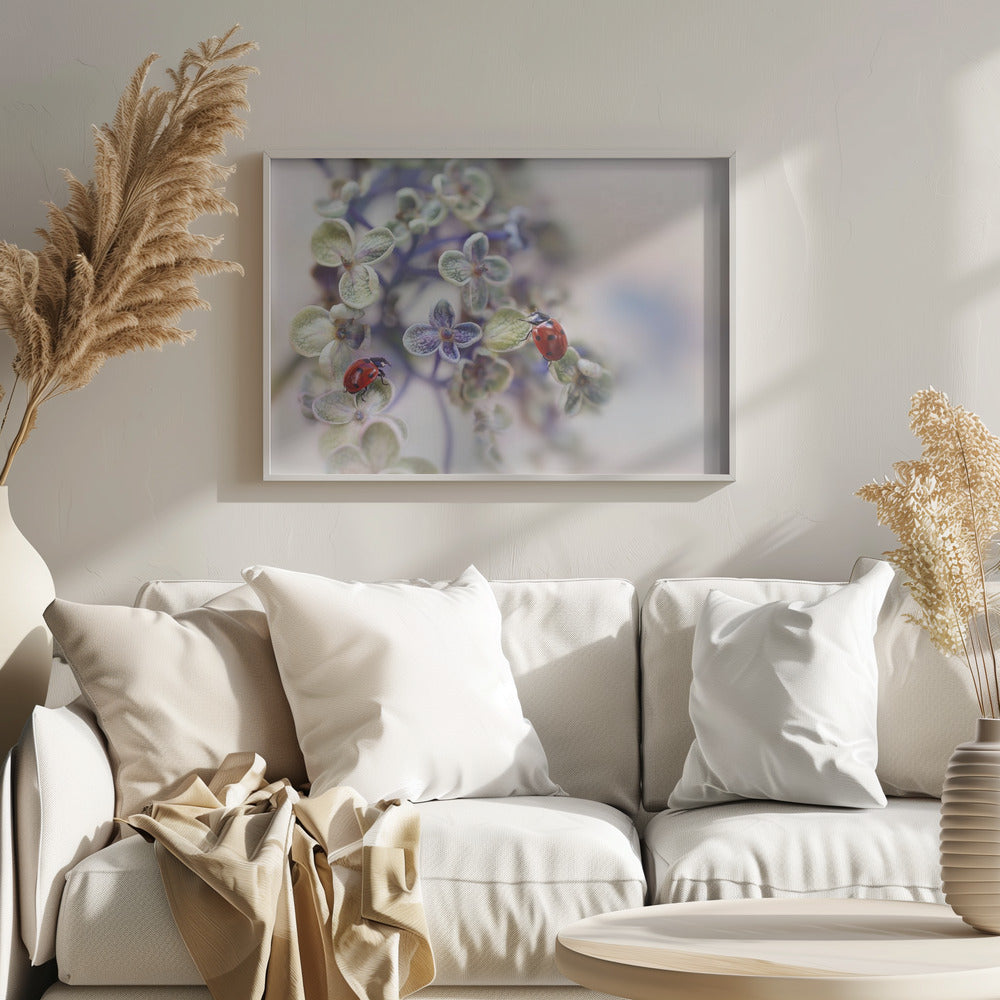 Fragile | Poster - Stampe d’Arte