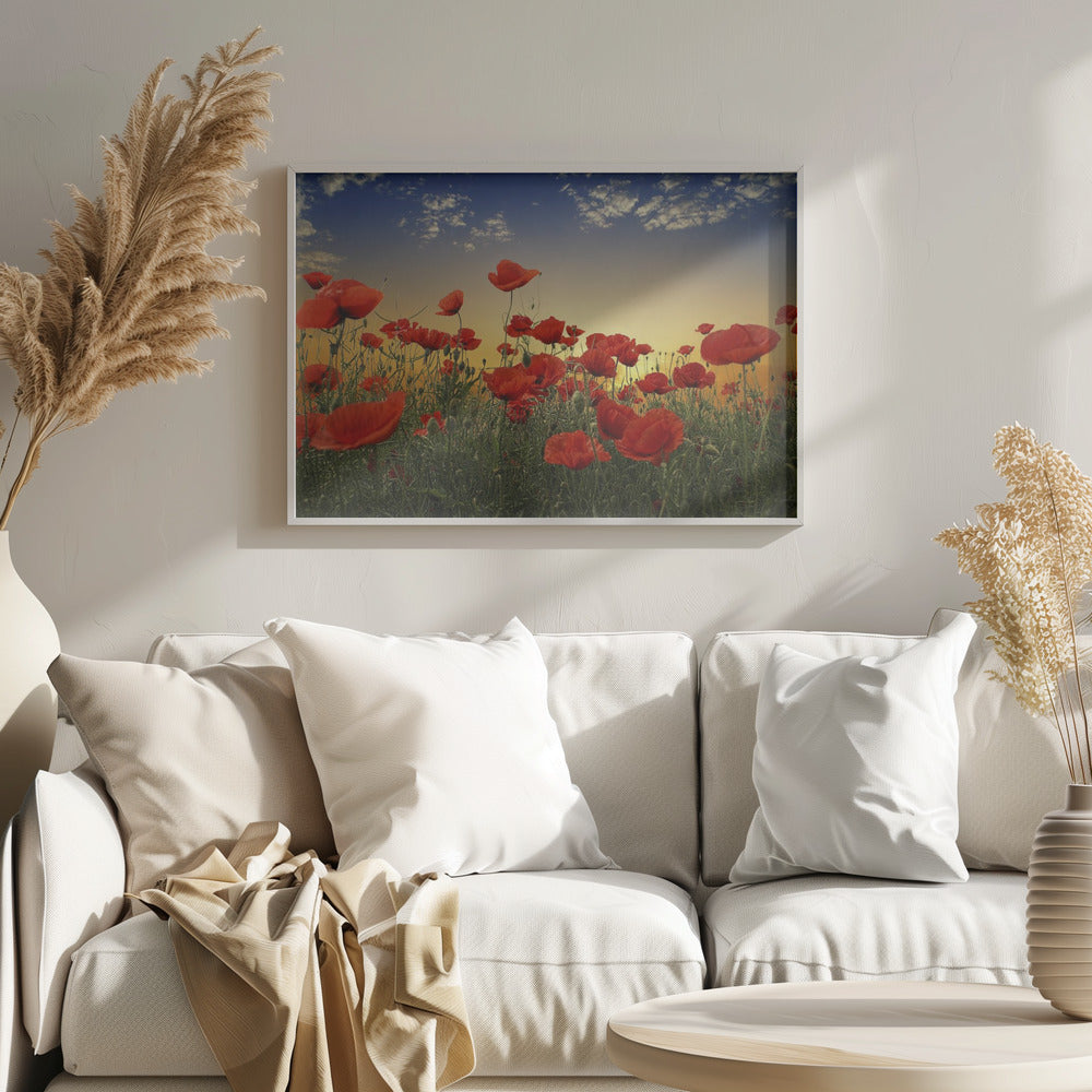 Coquelicots | Posters - Affiche Artistique