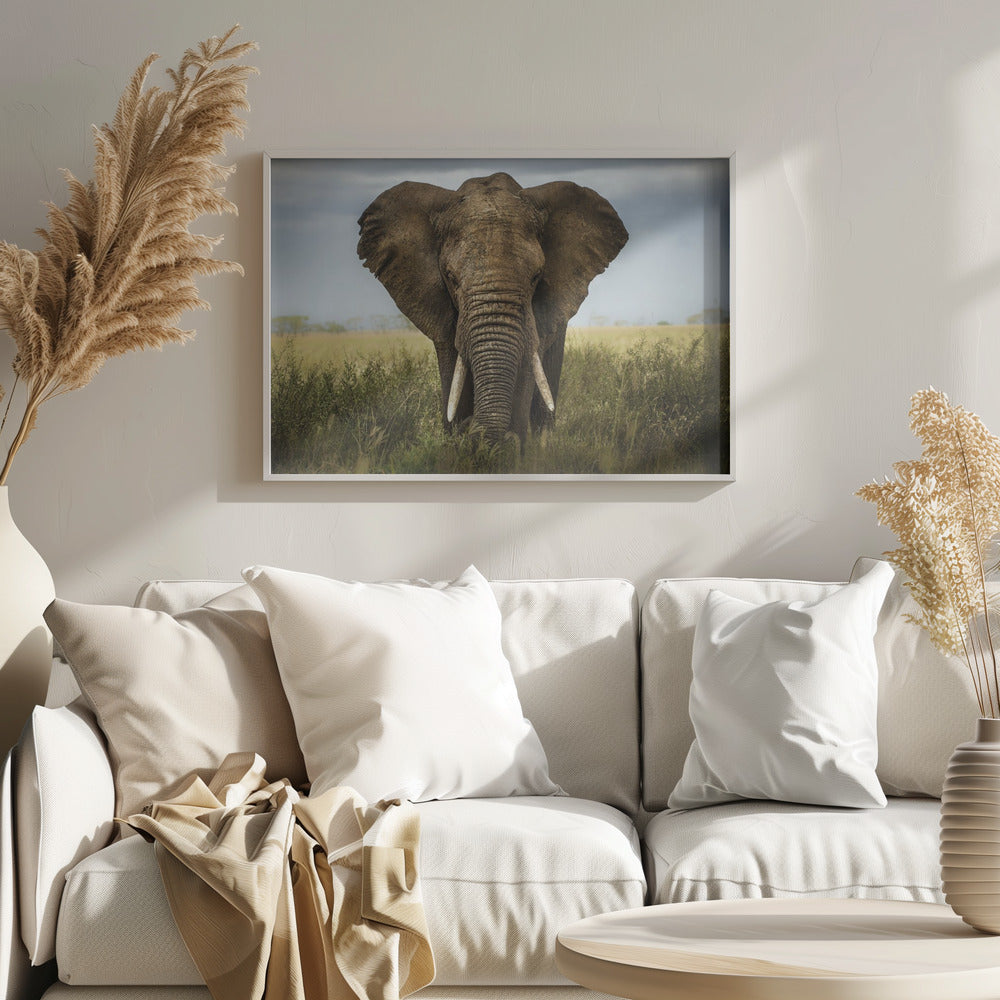 Incontri nel Serengeti | Poster - Stampe d’Arte