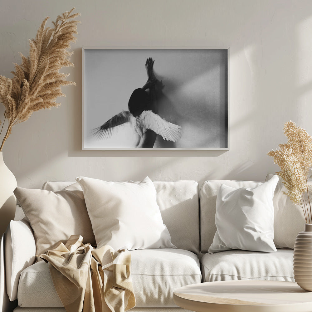 no volar Posters - Impresiones de Arte