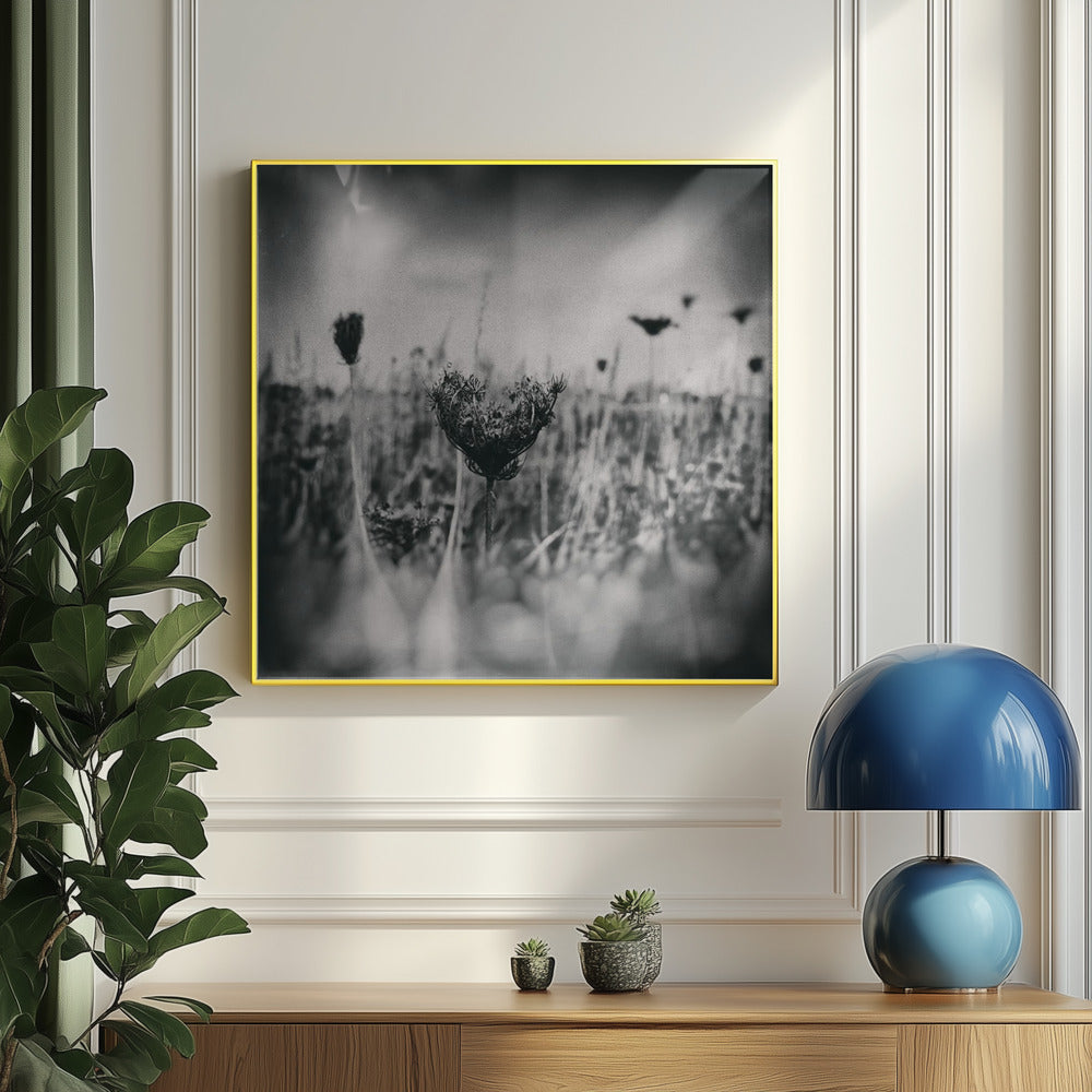 Wet Plate Photography Nature 4 | Poster