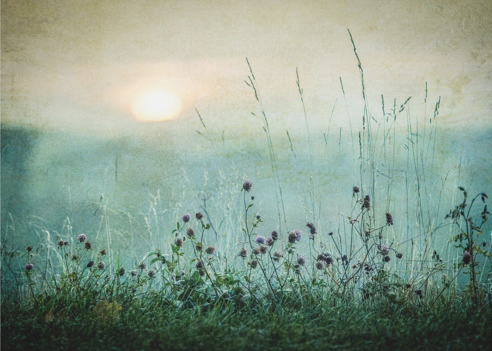 Amanecer de otoño | Papel Pintado Fotográfico