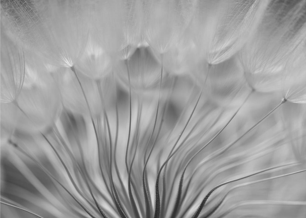 Traum | Fototapeten