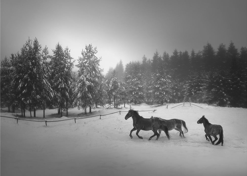 Ohne Titel | Fototapeten