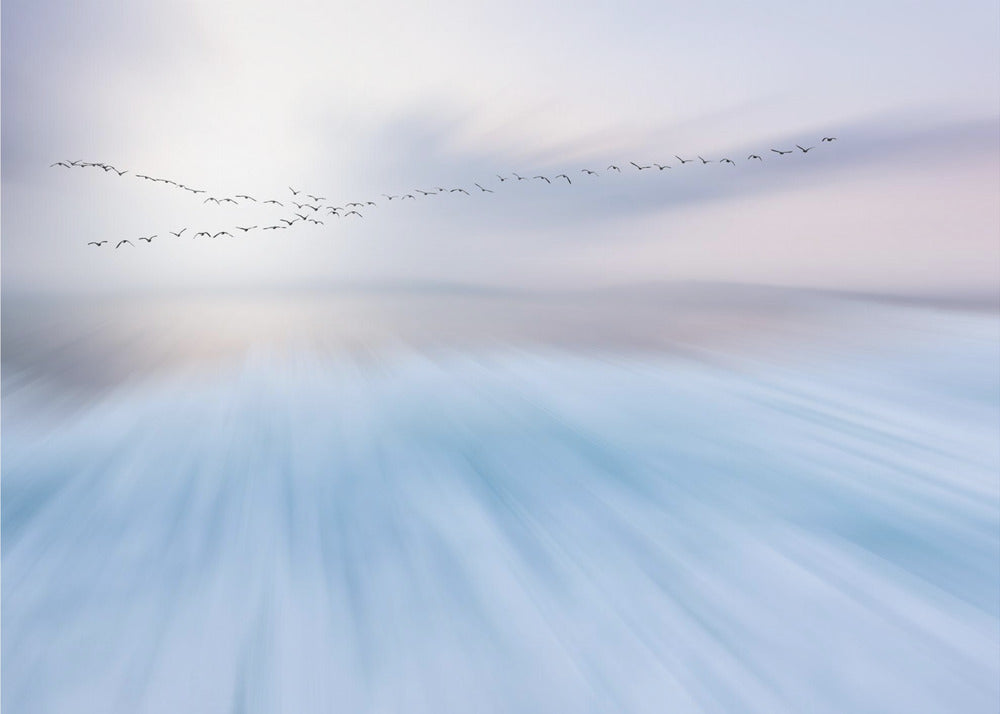 volare sopra | Carta da Parati Fotografica