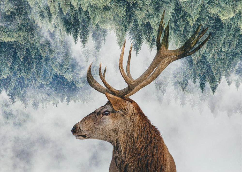 Il cervo e il bosco | Carta da Parati Fotografica