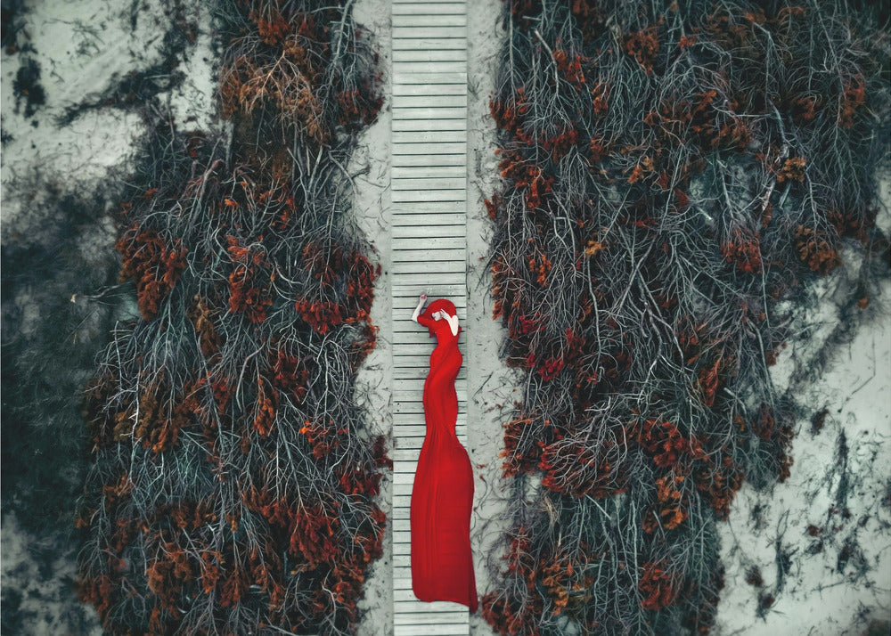 Crimson Pathway | Canvas