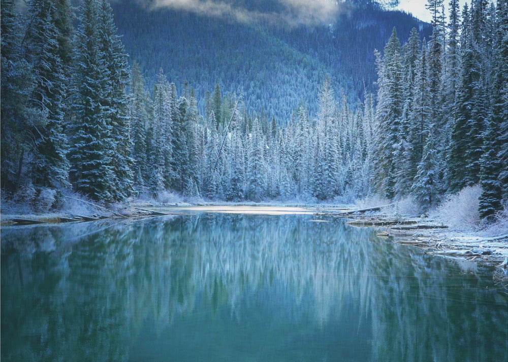 Meraviglia invernale | Carta da Parati Fotografica