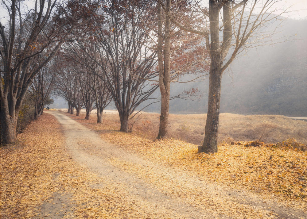 Mitten im Herbst | Leinwand-Bilder