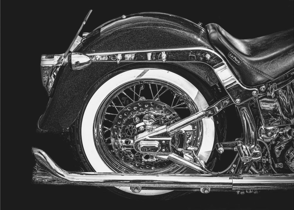 Harley | Stampe su Tela