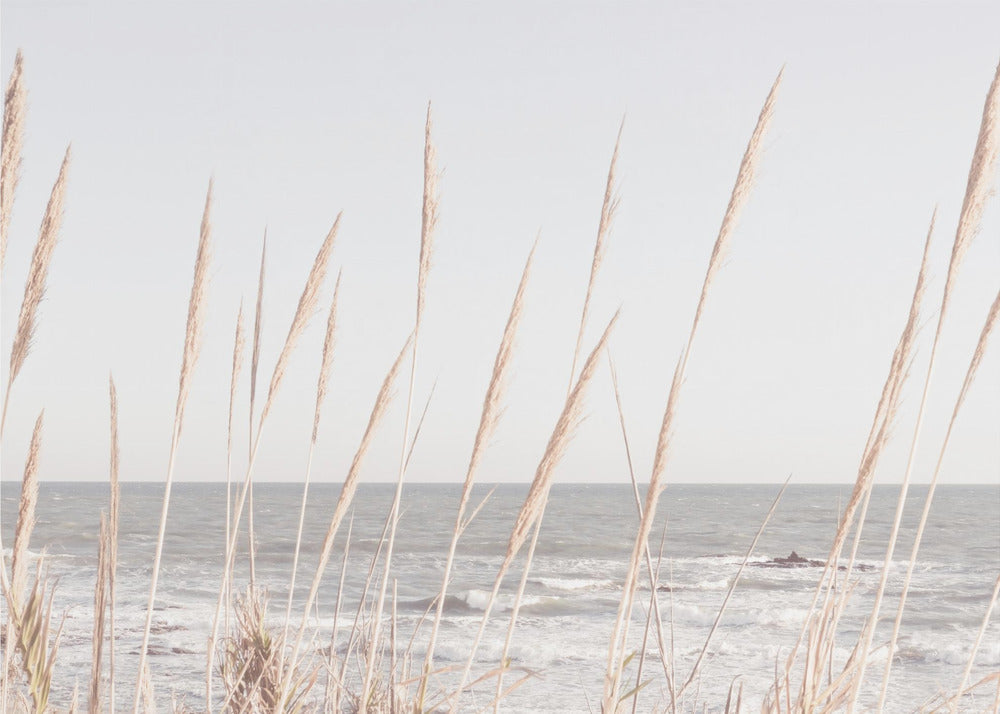 Strand_Vass_002 | Lærredsbilleder