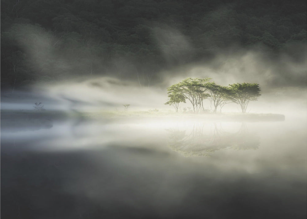 Yin e yang | Carta da Parati Fotografica