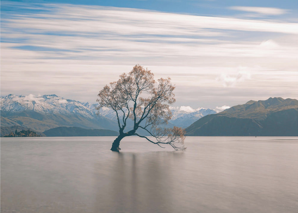 árbol solitario Papel Pintado Fotográfico