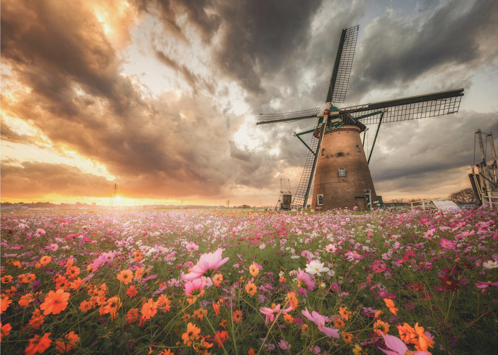 Storslået blomsterverden | Lærredsbilleder