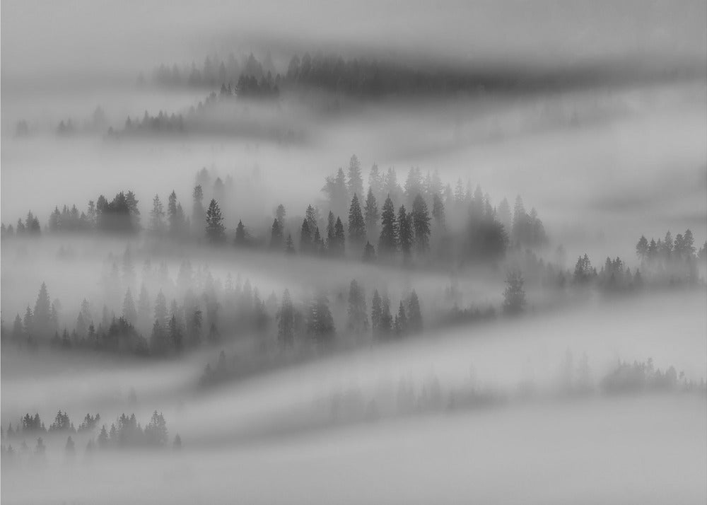 Efterårsindtryk | Fototapeter