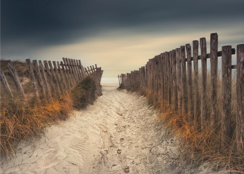 The path that led to you | Canvas