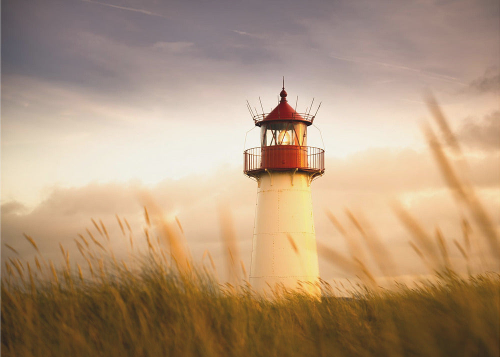 Sylt-intryck | Fototapet