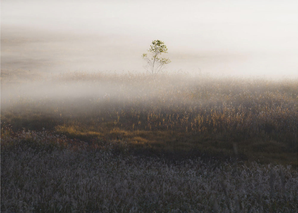 Moment spécial | Papier Peint Photo
