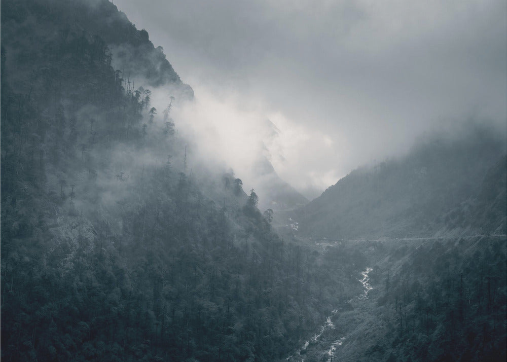 Il dramma della natura! | Carta da Parati Fotografica