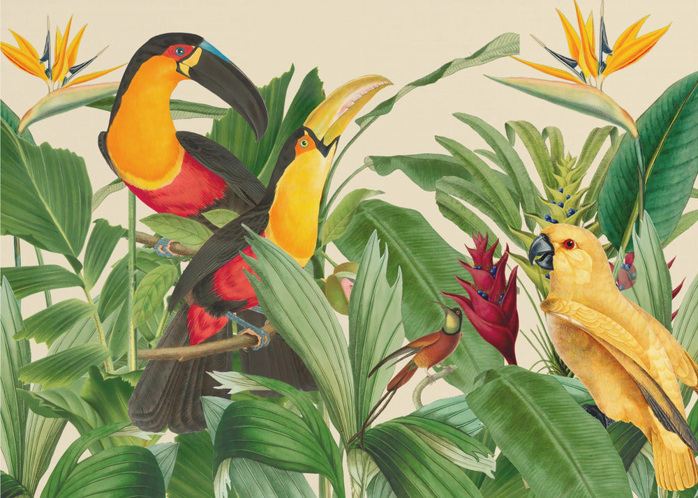 Jardin d'oiseaux de la forêt tropicale | Papier Peint Photo