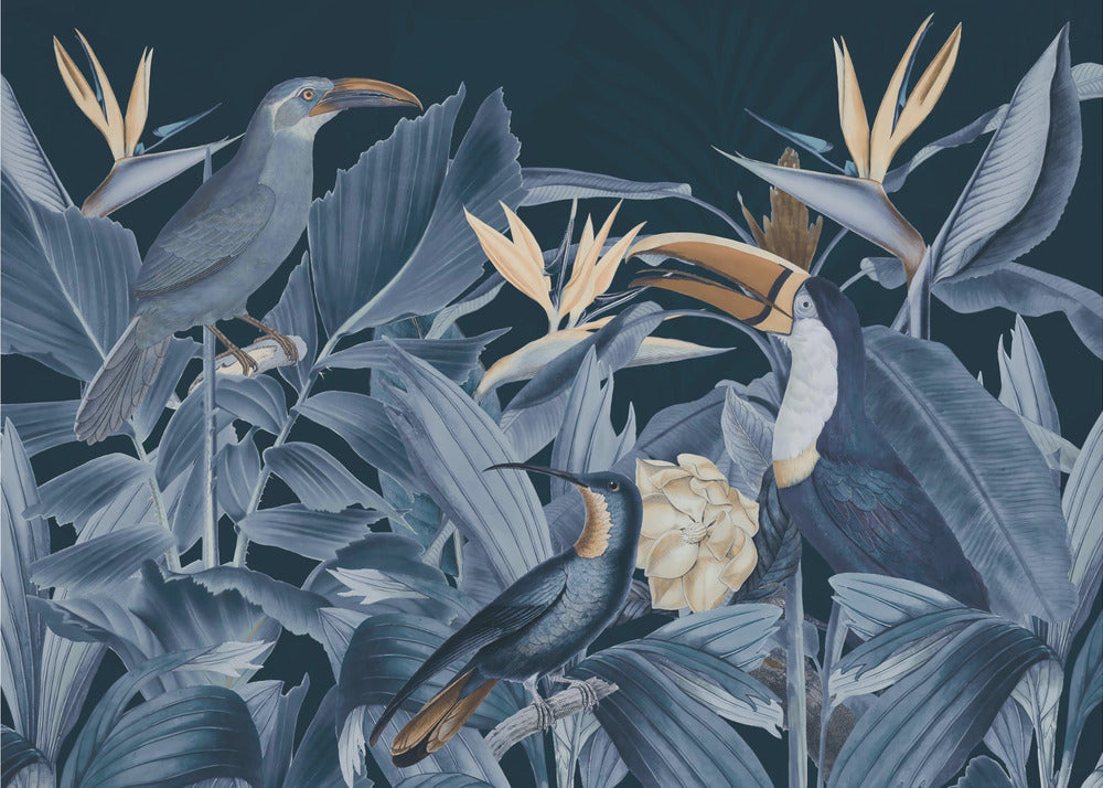 Oiseaux de la forêt tropicale bleus | Papier Peint Photo