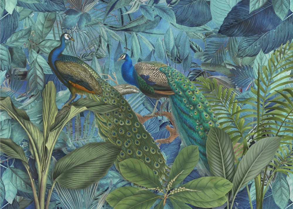 Jardín de aves de la selva n.° 1 | Papel Pintado Fotográfico