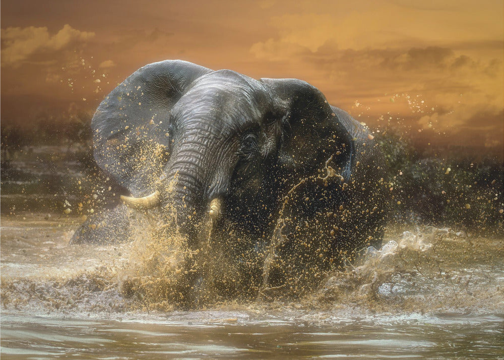 Gratis te spelen | Fotobehang