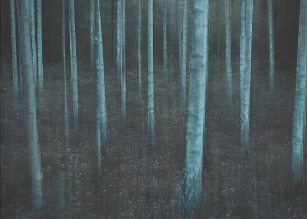 ICM v3 | Canvasprints
