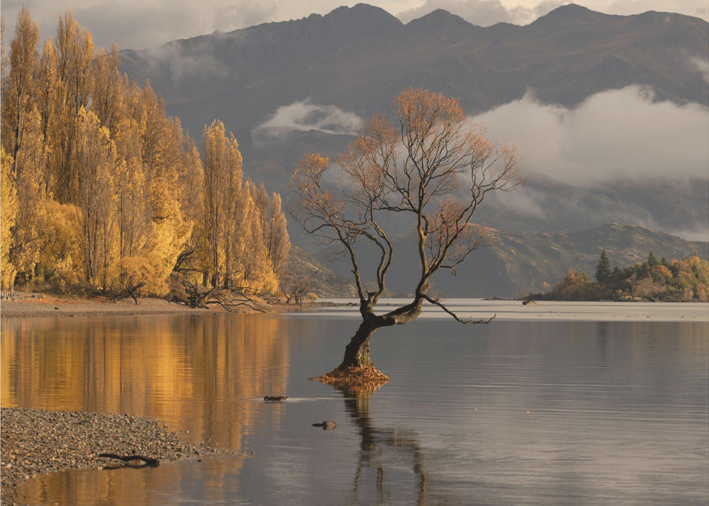 Autunno a Wanaka | Carta da Parati Fotografica