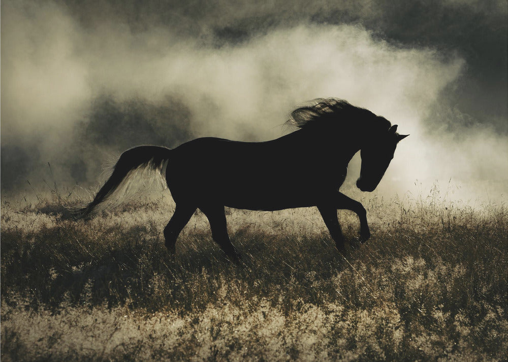 une courte histoire sur la gloire du matin | Tableaux sur Toile