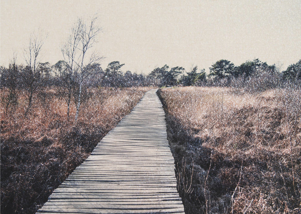 Naturreservat | Canvas