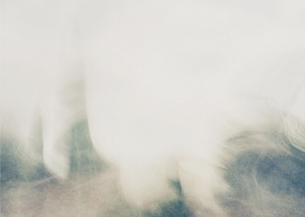 Arbres de rêve | Tableaux sur Toile