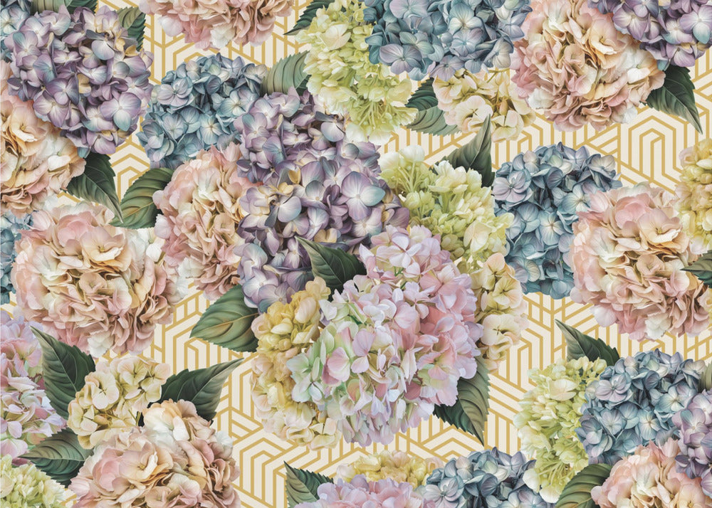 Hortensias_Crème Dorée | Papier Peint Photo