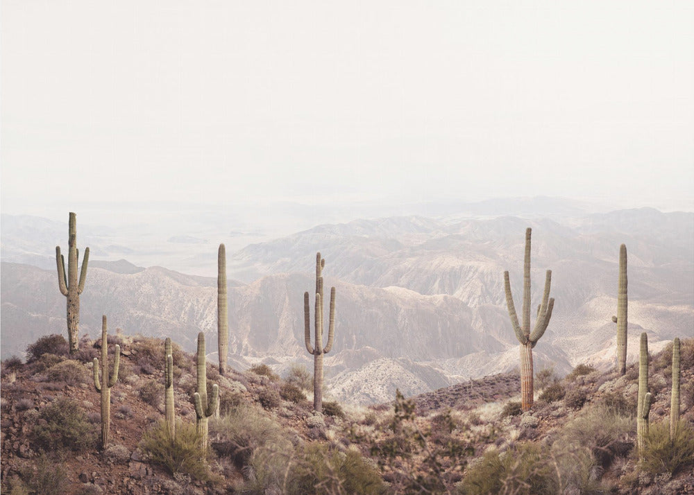 Valle dell'Arizona | Stampe su Tela