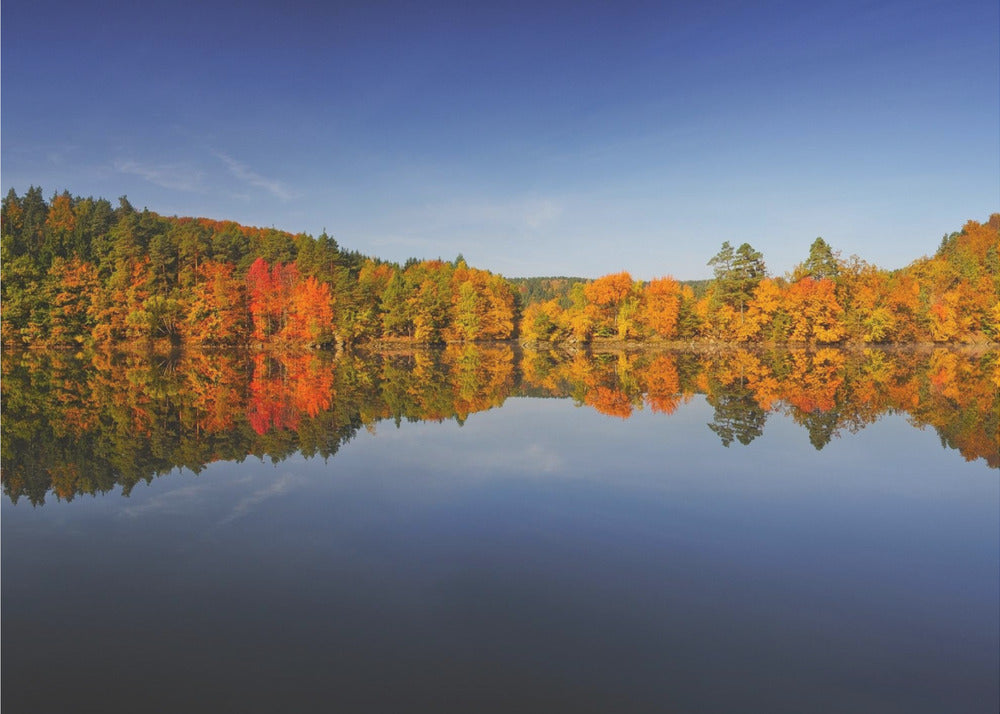Autunno | Poster - Stampe d’Arte