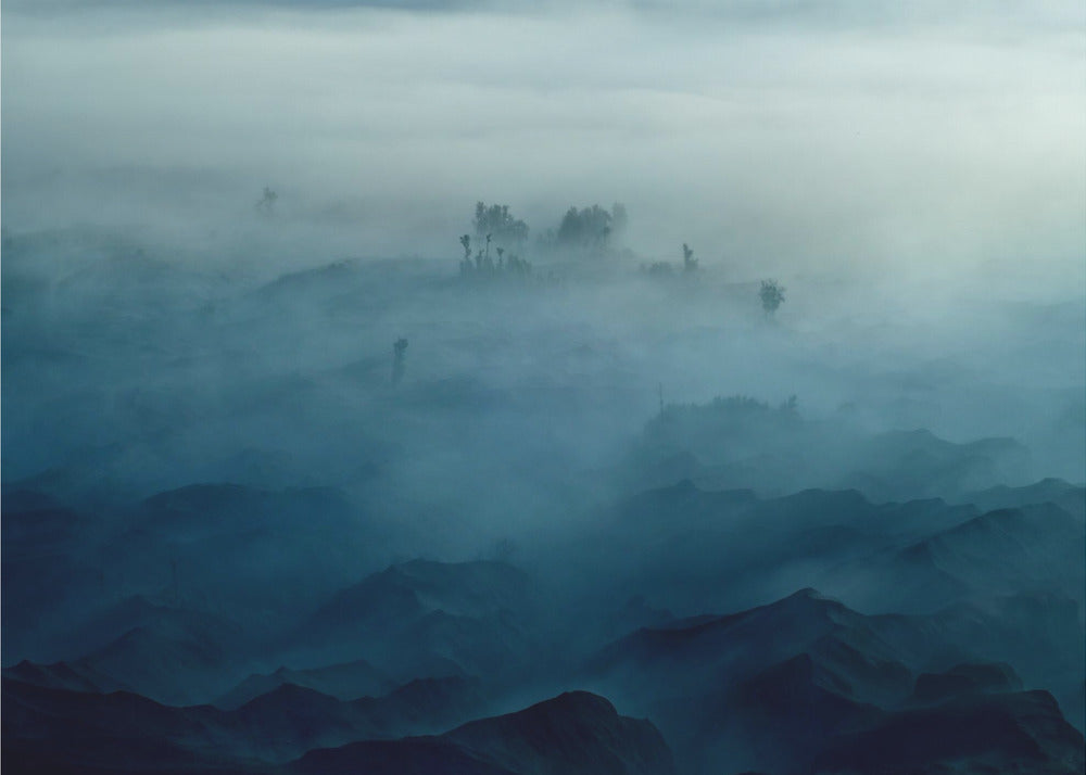 Tierra de niebla | Posters - Impresiones de Arte