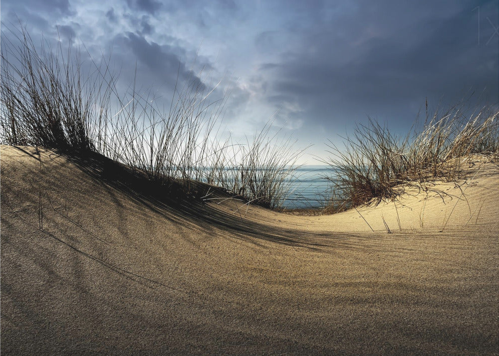 Dune........... | Carta da Parati Fotografica