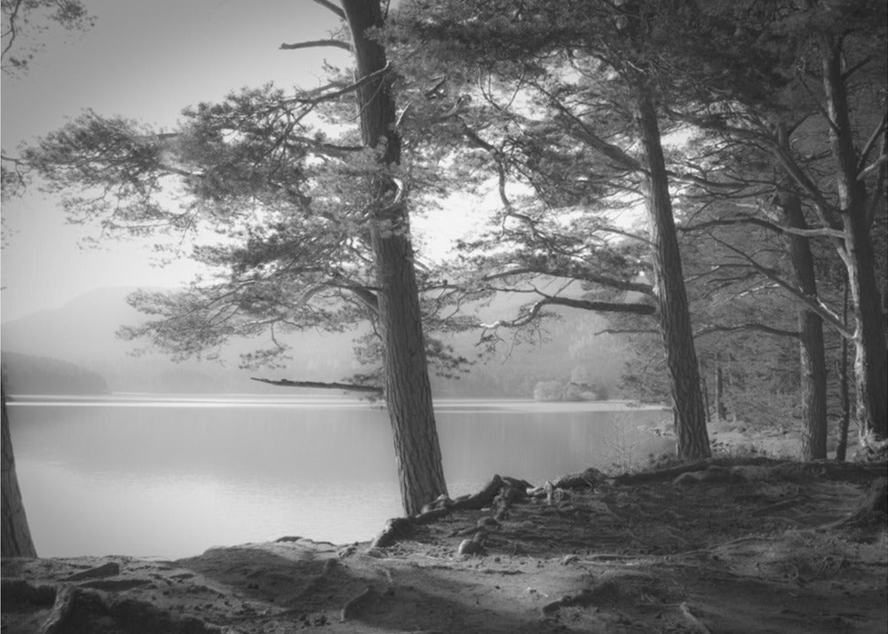 Loch an Eilean | Fototapet