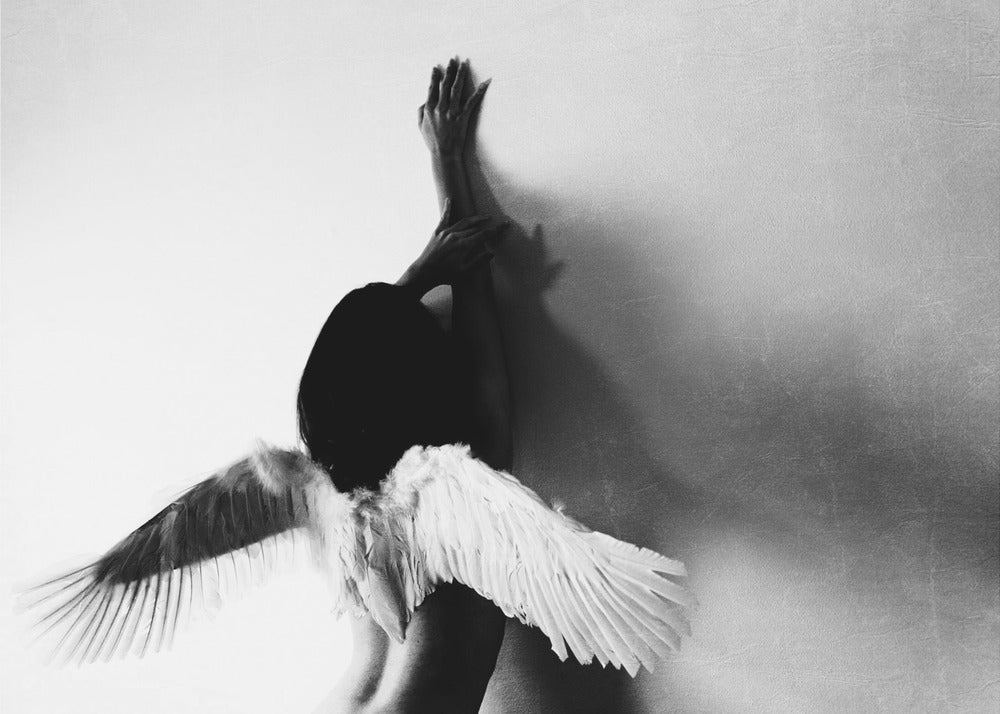 no volar Posters - Impresiones de Arte
