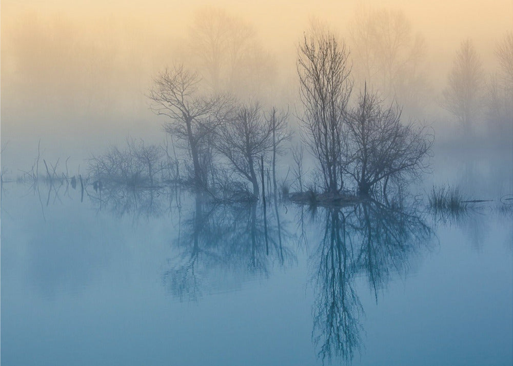 Morgonreflektion | Poster