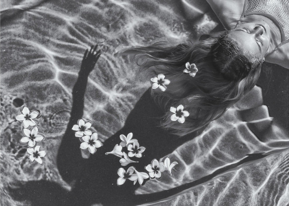 Frangipani-træ | Lærredsbilleder