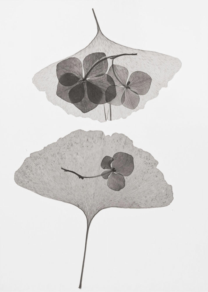 Botanisk #35 | Canvas