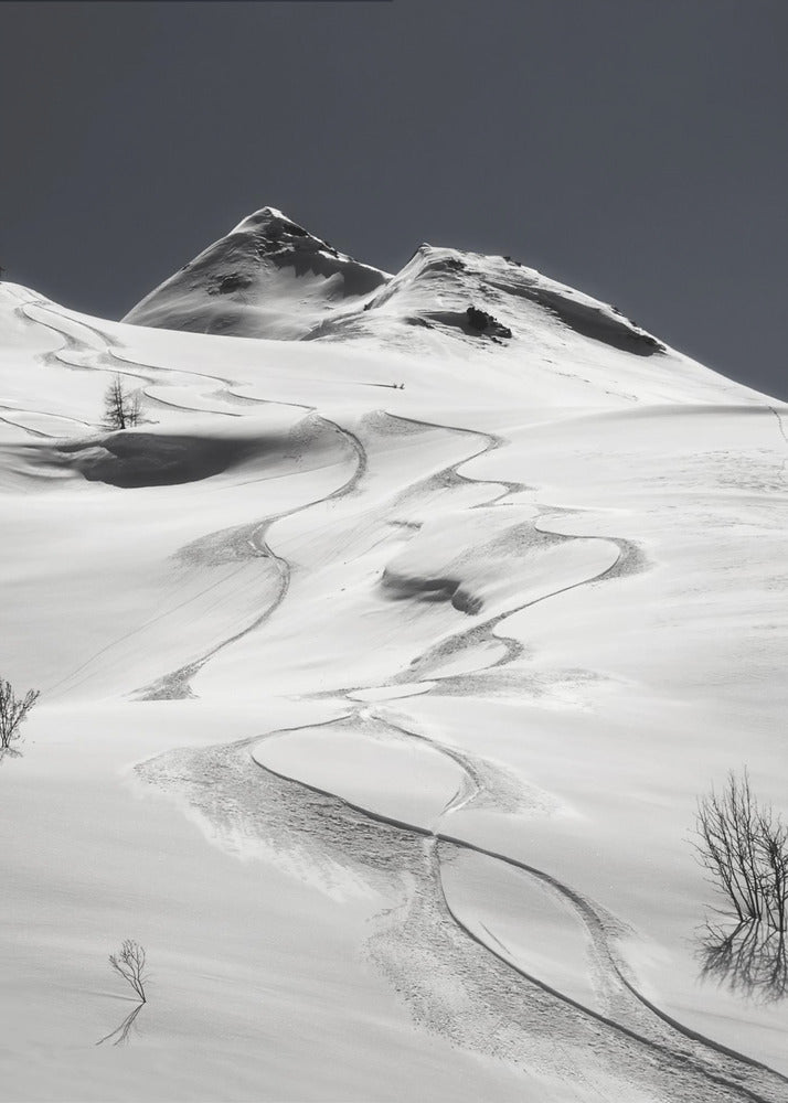 freeride | Stampe su Tela