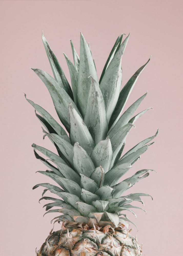 Ananas Pinkki 02 | Julisteet - Taidevedokset
