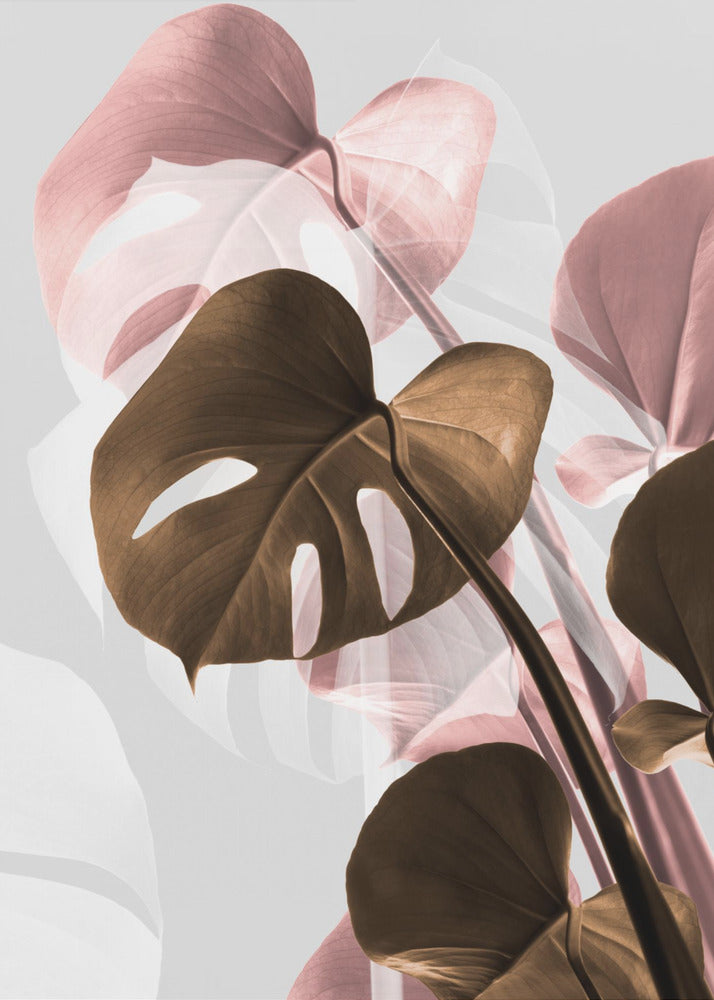 Monstera Creative 11 | Canvastaulut