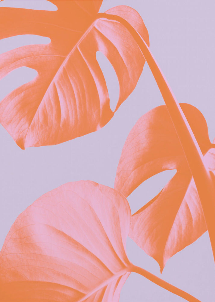 Monstera Purple 03 | Canvastaulut