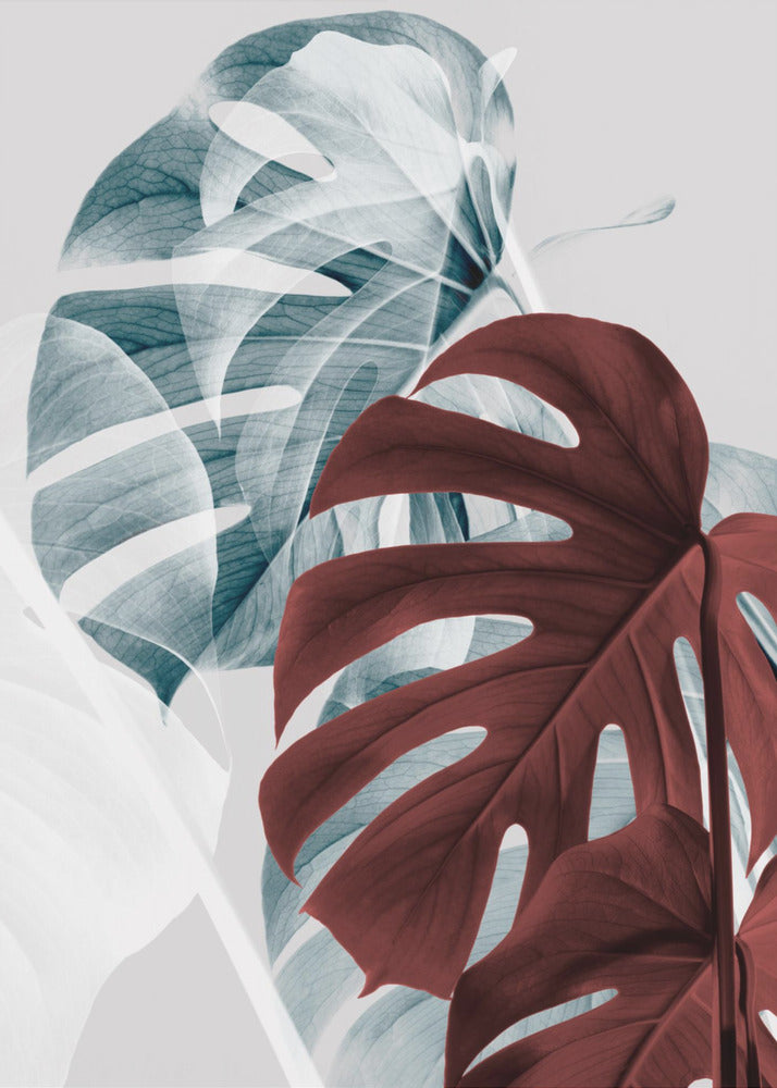 Monstera Creativo 18 | Stampe su Tela