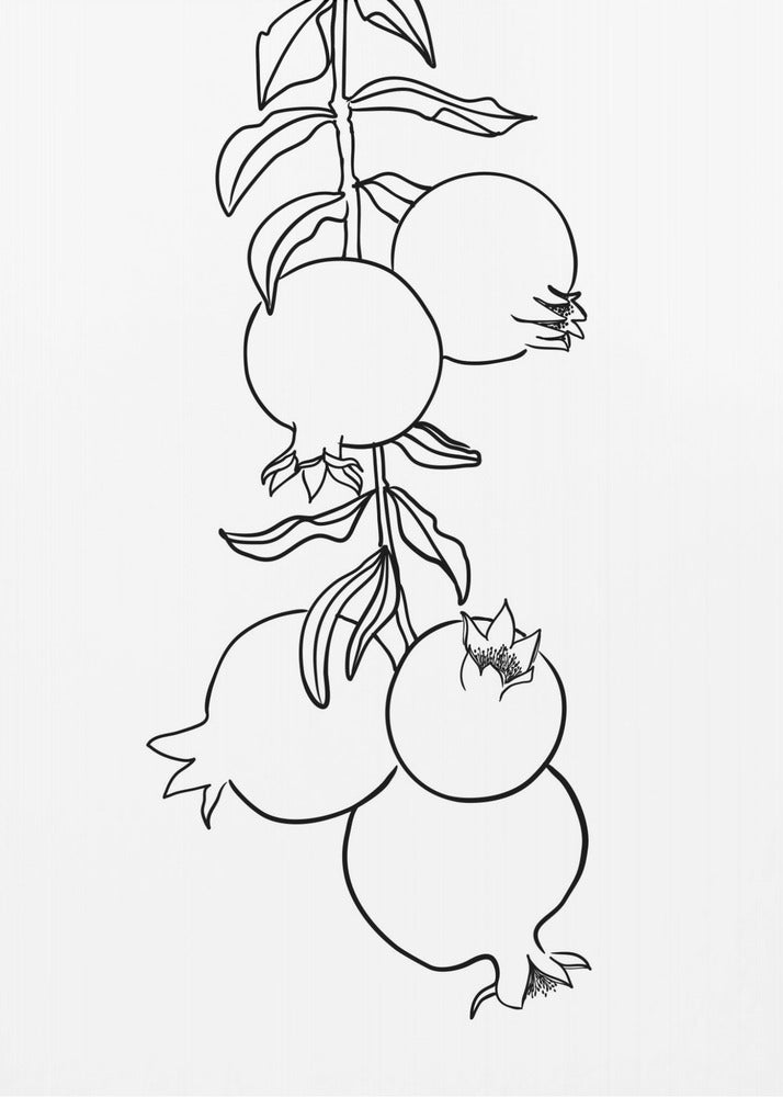 Branch of pomegranates | Poster