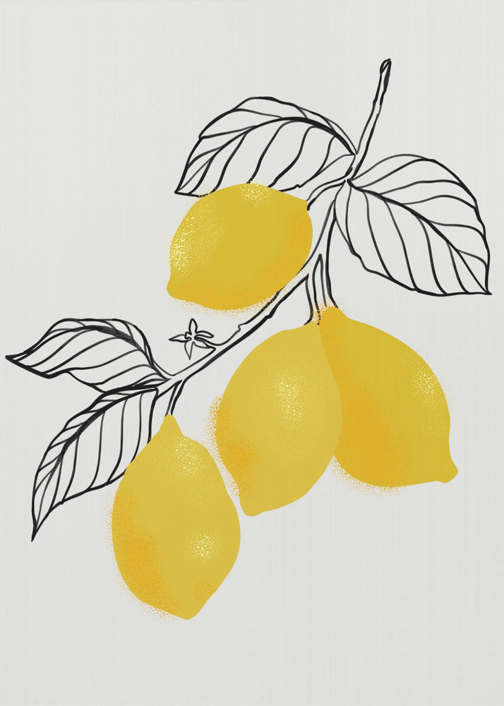 Citrons | Tableaux sur Toile