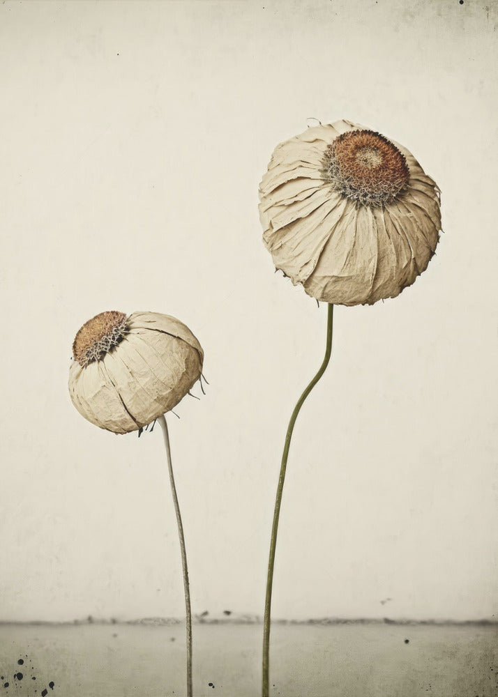 Evig blomma | Canvas